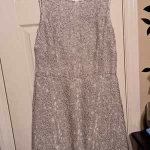 Knee Length Silver Dress